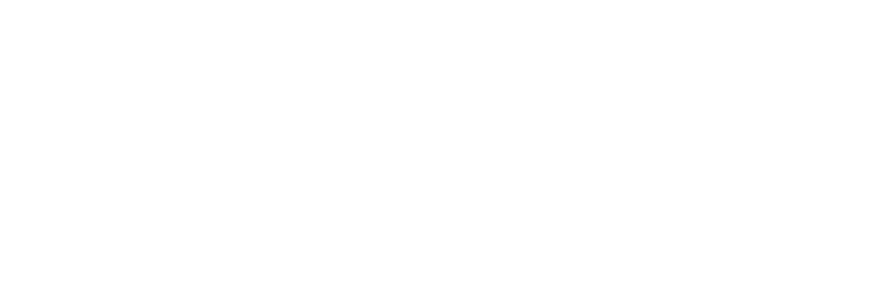 vbrick-1